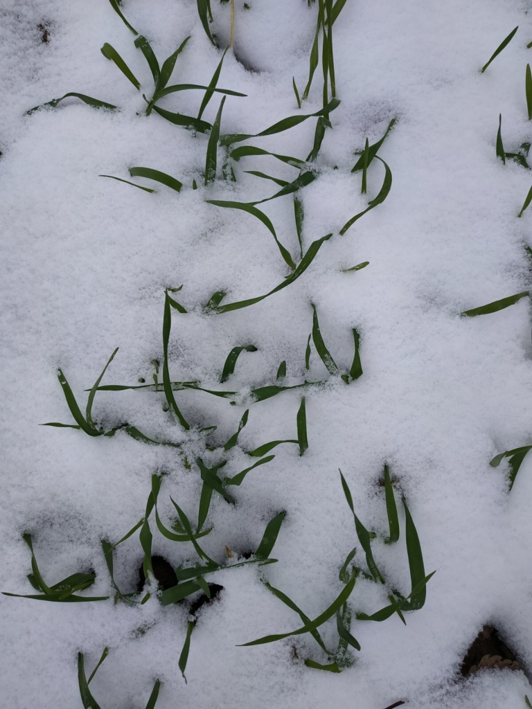 Фото 3.jpeg Фото 3.jpeg